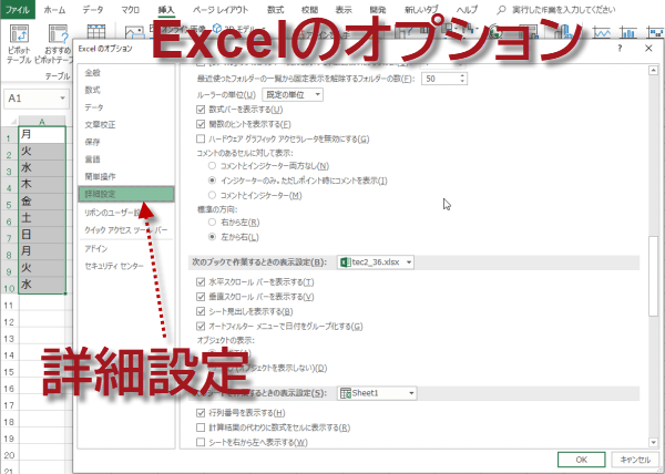 Excel のオプションから 詳細設定をクリックする画像